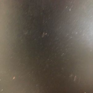 Meet your Posher, Griffin